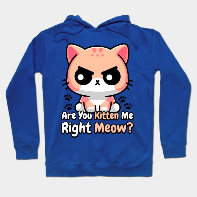 Are You Kidding Me Right Meow! Cute Cat Pun Hoodie by Cute And Punny